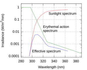 Erythemal action spectrum