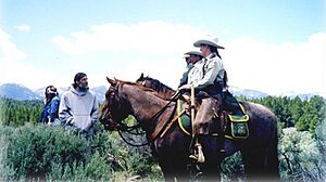 United States Forest Service Horse patrol