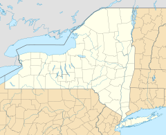 Owego (village), New York is located in New York