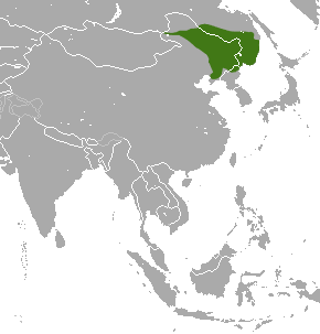 Manchurian Hare area.png