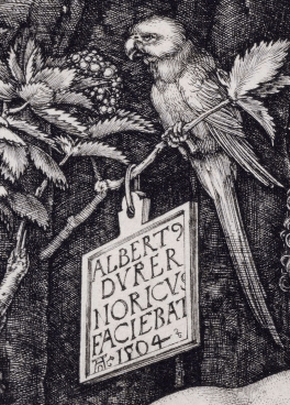Plaque and Parrot, 1504