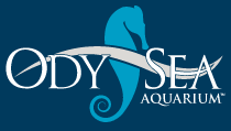 Logo of OdySea Aquarium.png