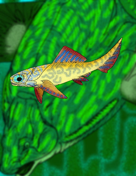Bruntonichthys multidens