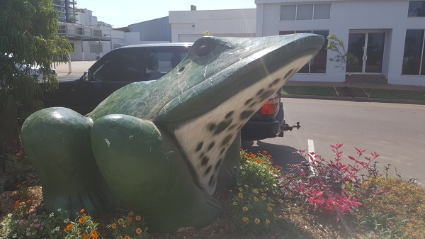 Darwin City - BIG Frogs