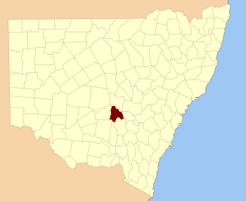 Gipps NSW.PNG