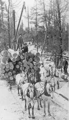 Logging sleigh