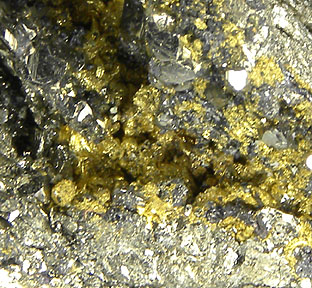 Gold-Pyrite-263192