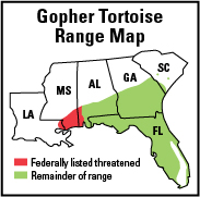 Gopher Tortoise Range Map (5961121544).jpg