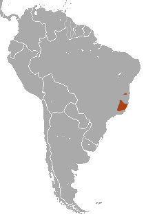 Northern Muriqui area.png