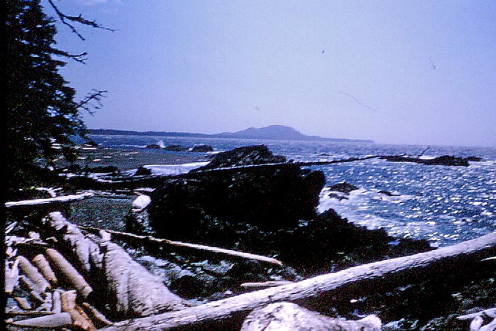 Oval Bay, Porcher Island