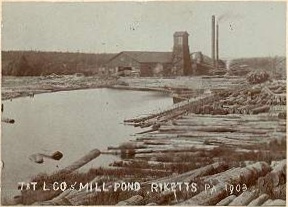 Ricketts, Pennsylvania mill pond 1903