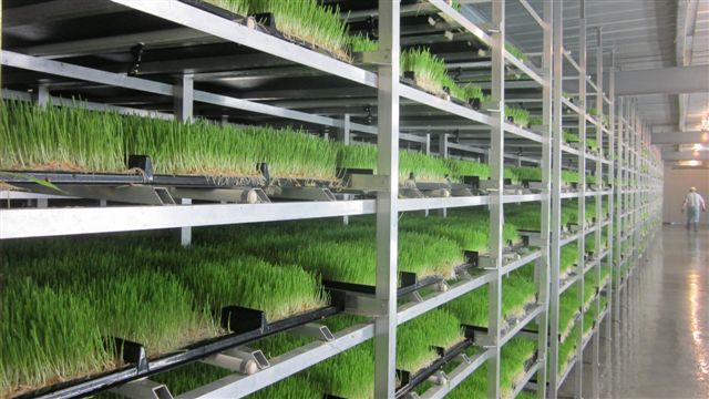 Fodder Solutions