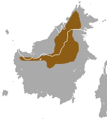 Mountain Treeshrew area.png