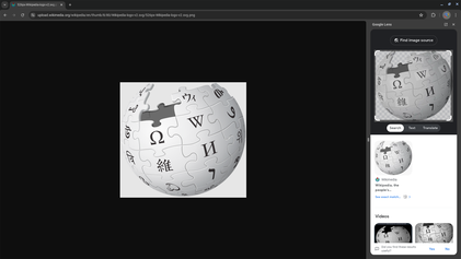 Google Lens screenshot