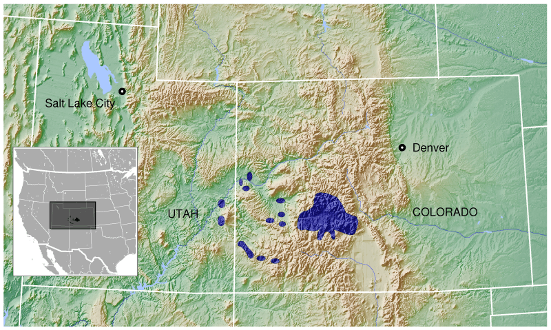 Gunnison Grouse Centrocercus minimus distribution map 3