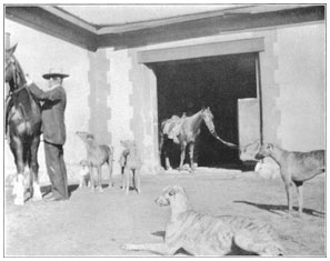 Hooker and dogs sierra bonita ranch