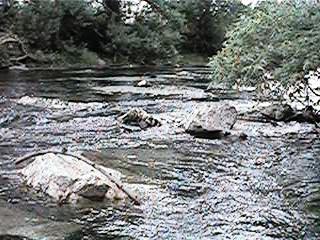 Chino Creek downstream from Central Avenue.jpeg