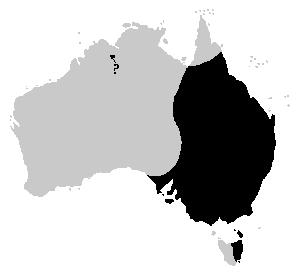 Limnodynastes tasmaniensis distribution.PNG
