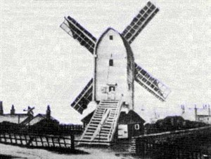 Brighton Vines Mill