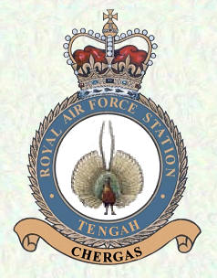 RAF Tengah Crest