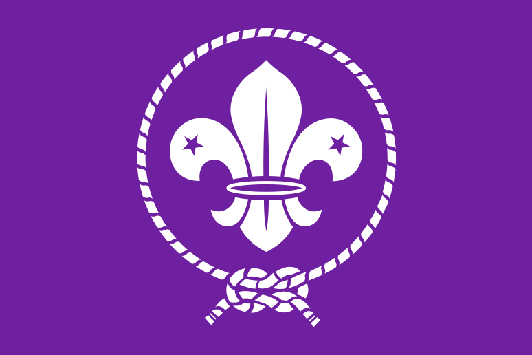 Scout Movement Flag