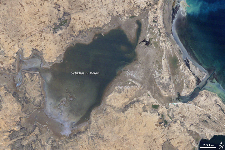 Sebkha El Melah - 1987