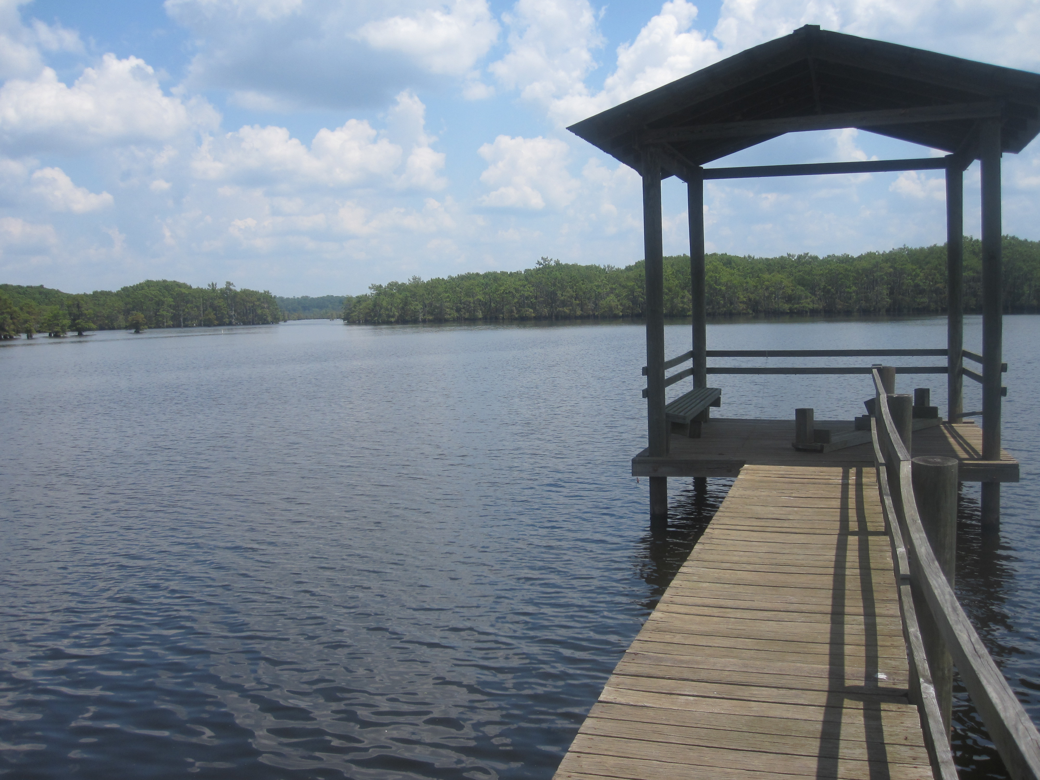 Image Pier on Black Lake at Bell's Camp near Campti, LA IMG 2070