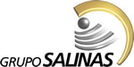 Gruposalinas logo
