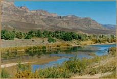 The river draa