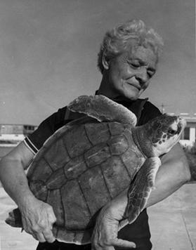 Ila Loetscher holding turtle.jpg