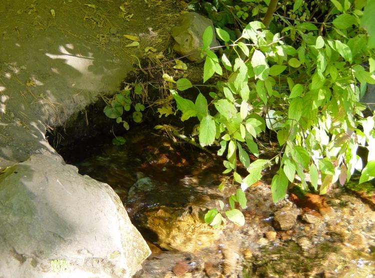 Headwaters of the Sacramento River-spring-750px