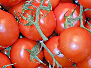 Tomaten im Supermarktregal