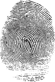 Fingerprintforcriminologystubs2