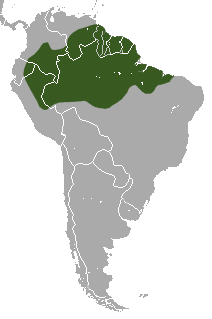Linné's Two-toed Sloth area.png