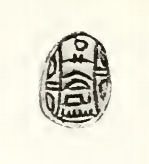 Sekhaenra scarab Petrie