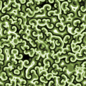 A simulation of the Belousov–Zhabotinsky reaction.