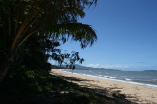 Wonga-beach.JPG