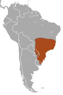 Greater Naked-tailed Armadillo area.png