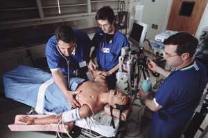 Anesthesia patient simulator