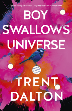 BoySwallowsUniverseCover.png