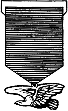 Eagle Scout medal 1911