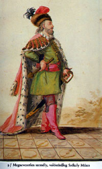 Moses Székely Facts for Kids