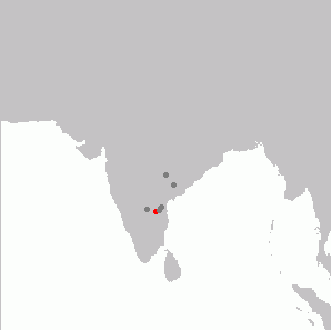 Rhinoptilus bitorquatus range.png