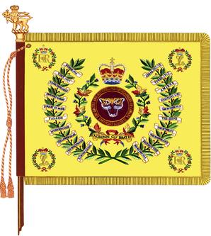 A&SHC Regimental Colour