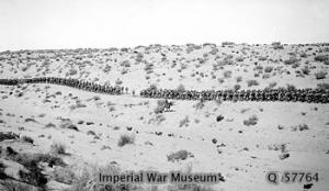 British infantry march through the desert 1917 IWM photoQ 057764