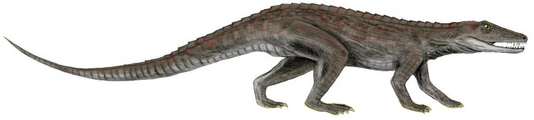 Erpetosuchus BW white background