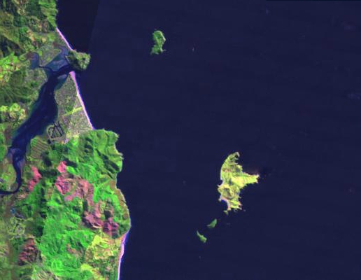 LANDSAT 2005 Slipper Island Whakahau