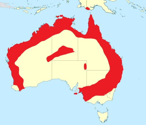 Burhinus grallarius range