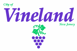 Vineland Flag