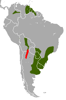 Lutreolina massoia area.png